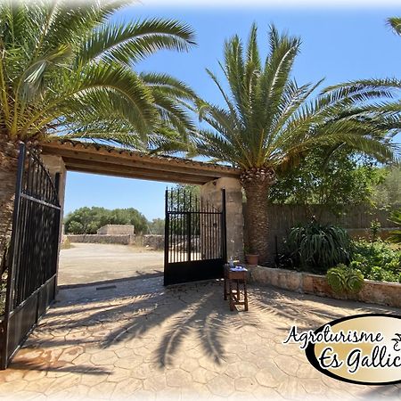 Agroturismo Es Gallicant كامبوس المظهر الخارجي الصورة