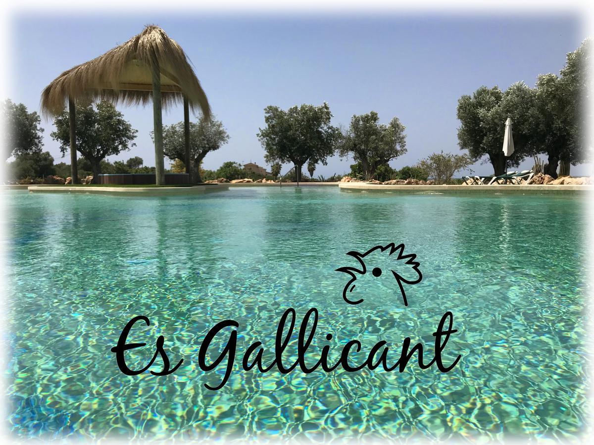 Agroturismo Es Gallicant كامبوس المظهر الخارجي الصورة